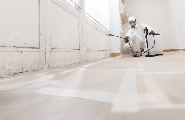24/7 Emergency Mold Remediation experts in Honor, MI