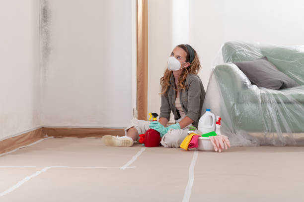 Reliable Mold Remediation contractor in Honor, MI by WQB Mold Removal